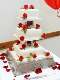 Wimbledon Wedding Photographer